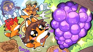 귀요미(?) 여우 삼남매의 포도 농장 습격 사건🍇