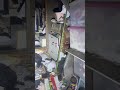 下着泥棒アジト