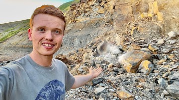 Huge LANDSLIDE 2 Day FOSSIL HUNT! Outdoor Jurassic Coast | Fossil Hunter