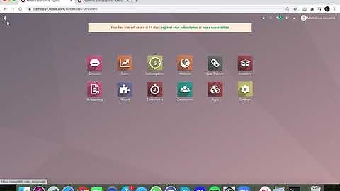 Odoo V14 - Capturing Transactions (Upon Delivery)