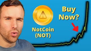 Why NotCoin is up  Not Crypto Token Analysis