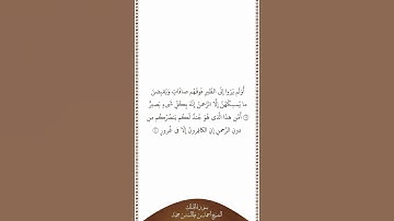 تلاوة في دقيقة سورة الملك الآيات ١٩ ٢٠ الشيخ أحمد بن طالب بن حميد