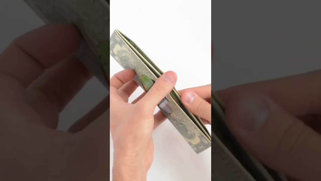 Обзор кошелька New Dollar  