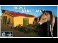 Planet Zoo Horse Sanctuary - Przewalski's Horse Habitat | Conservation Pack |