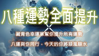 【吸引力法則|八種運勢全面提升】🍀10/18藏青色幸運草幫你提升所有運勢!點開影片收穫全方位祝福。今天的你有八運同行,將順風順水的度過一整天✅點開影片 → 接收宇宙祝福👉觀看+訂閱=儲存好運