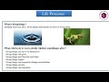 Life Processes Part-1/ Introduction of life process Class -10