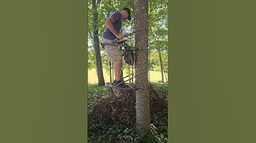 Tree Climber Summit Mini Viper