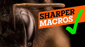 How to do Focus Stacking | complete guide with miops slider+