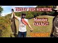 Monster Dalag / Tiksay Fish Hunting / Subrang laki talaga ng mga dalag sa Japan