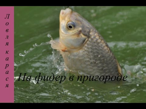 Https://www.youtube.com/watchv=qALSZ6rPUfs Короткая поездка на рыбалку Https://www.youtube.com/watchv=qALSZ6rPUfs Короткая поездка на рыбалку