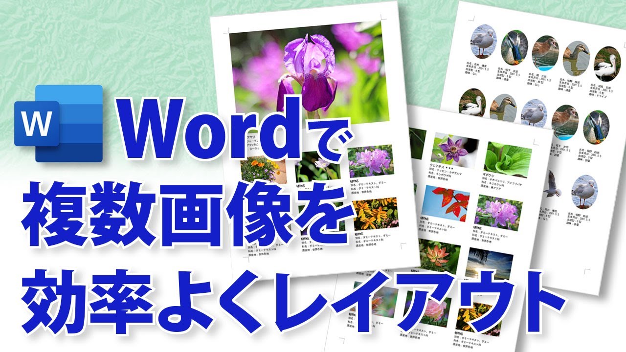 ワード で 写真 を 貼り 付ける