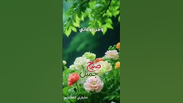 اذكار الصباح مشاري العفاسي اللهم إني اسألك العفو والعافية
