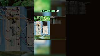 Self-Organizing Mcus Automated Power Sequencing Explained