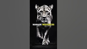 Consciousness Number 8: Power & Prosperity 💰♾️