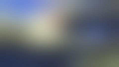 Cat Dissection, Muscular System   Whole Video