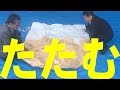 フレコンバックのたたみ方 by プロ25年／1分動画セミナー