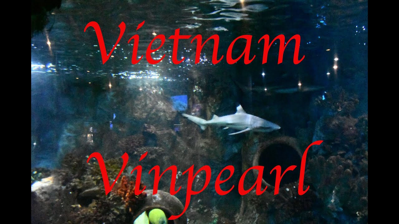 Vinpearl - Вьетнам, Нячанг 5 часть (Путешествие) 4K - YouTube