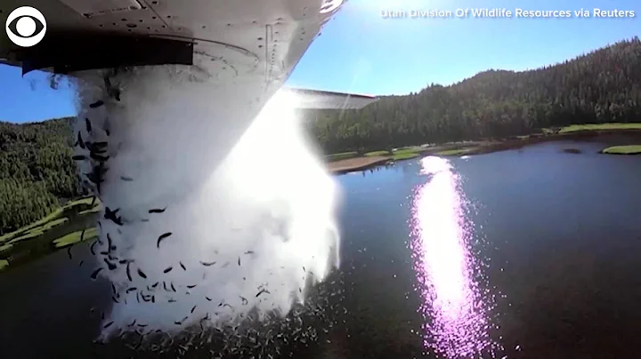 WEB EXTRA: Aerial Fish Stocking in Utah