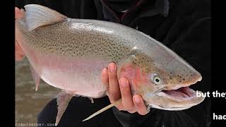 Catchment Management Project