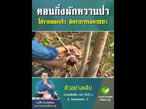 ตอนกิ่งผักหวานป่าให้รากออกเร็ว การทำปุ๋ยหมักจากรำ  ช่วยให้ดินร่วนซุย พืชเจริญเติบโตได้ดี รำ ปุ๋ยหมัก อนิติ