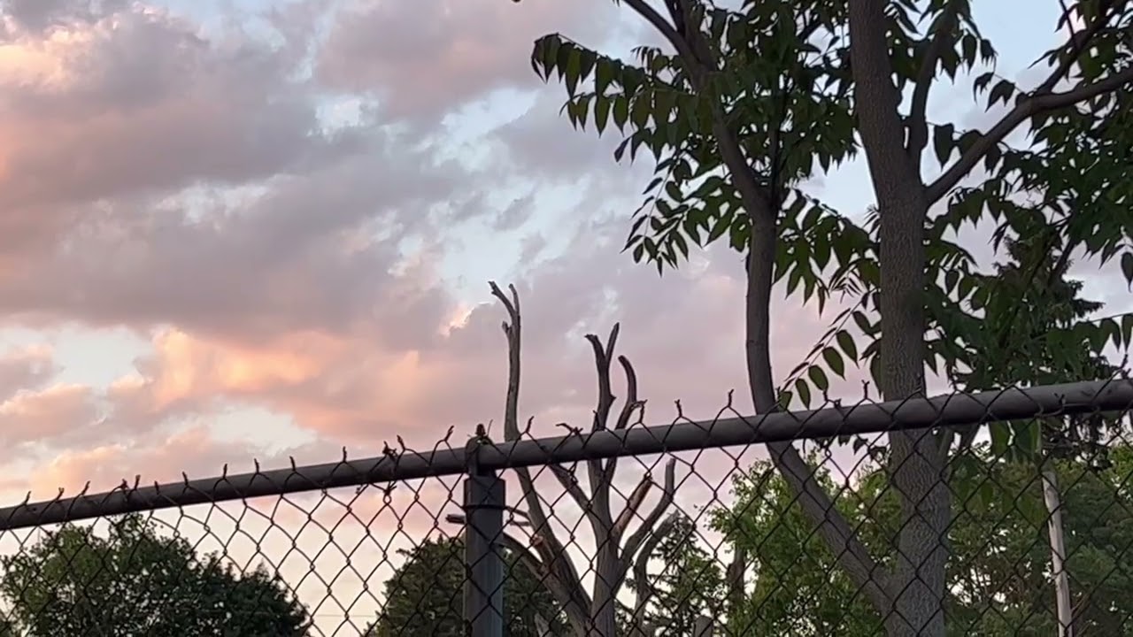 Douchebag Documentaries Teaser Trailer