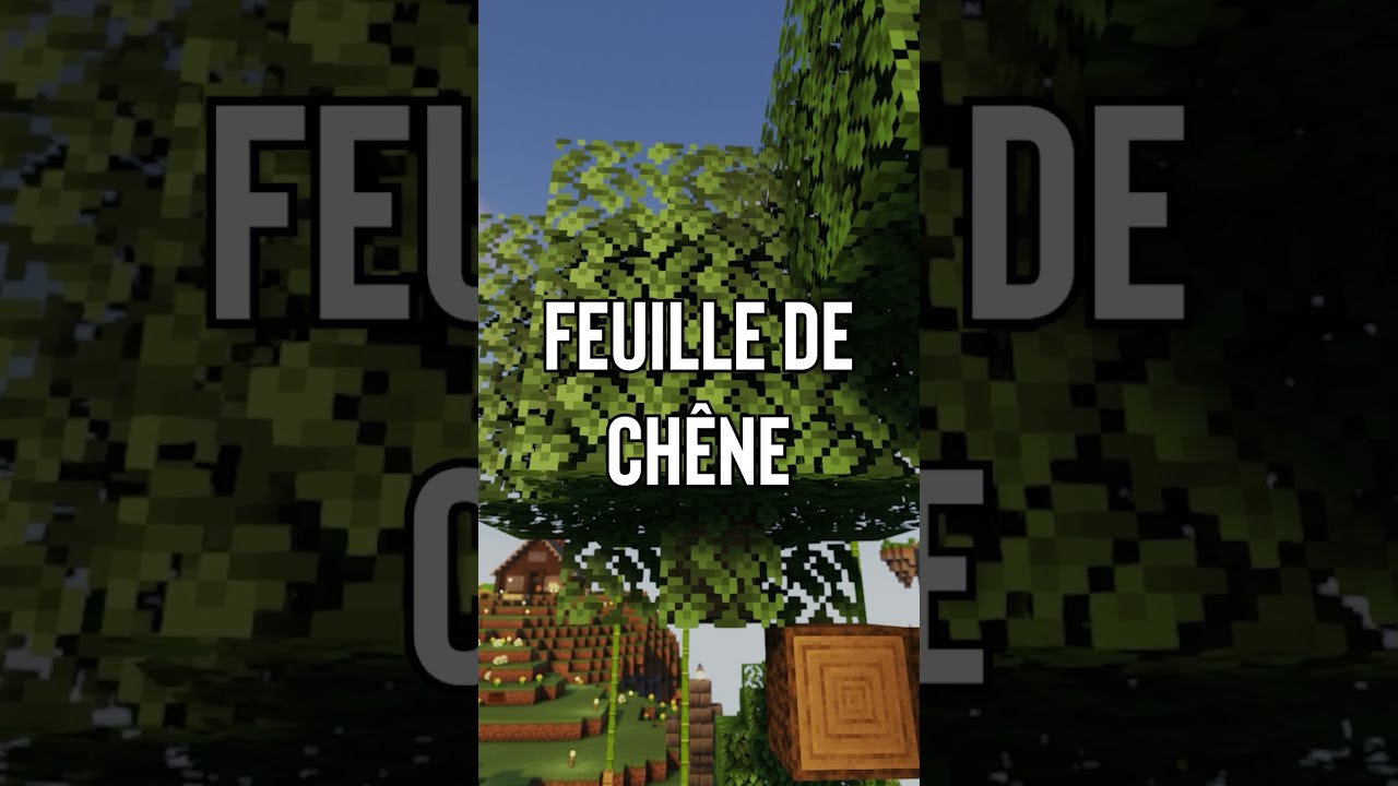 Et Si Les Blocs Pouvaient Parler Dans Minecraft 5 Shorts