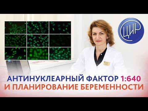 Антинуклеарный фактор 1:640. Можно ли планировать беременность? Дементьева С.Н.