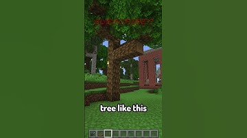 How To Make A Tree Swing In Minecraft! 🌳
