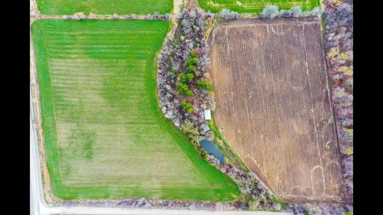 17445 12th Concession, Schomberg Home for Sale Real Estate Properties