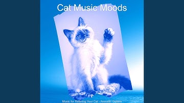 Pulsating Relaxing Your Cat