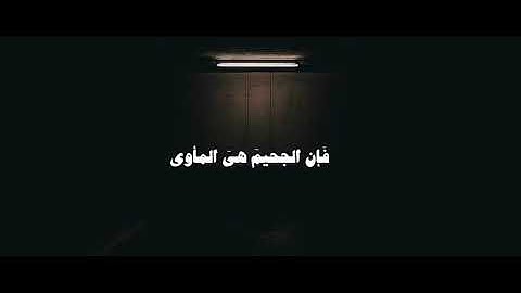 قران كريم بدون مؤثرات | راحة نفسية بصوت رعد الكردي 🎧