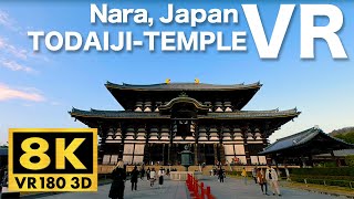 [VR180-8K] Japan Travel - Todaiji-Temple, Nara - World Heritage [Video for VR Headset]