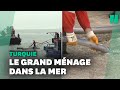 En turquie lopration de nettoyage de la morve de mer a dbut