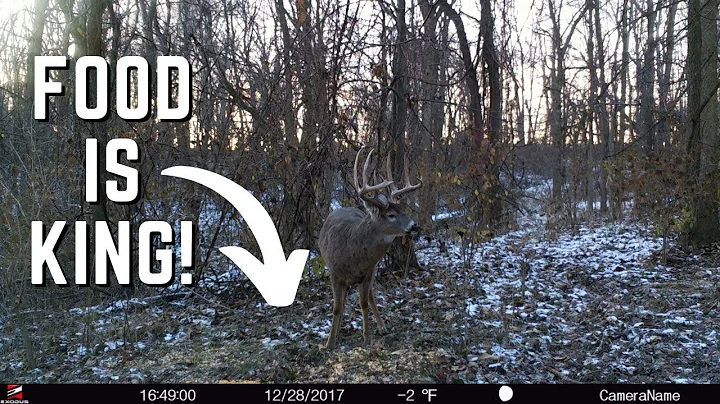 You Need To Move Your Cameras NOW!!! Top Late Season Trail Camera Locations