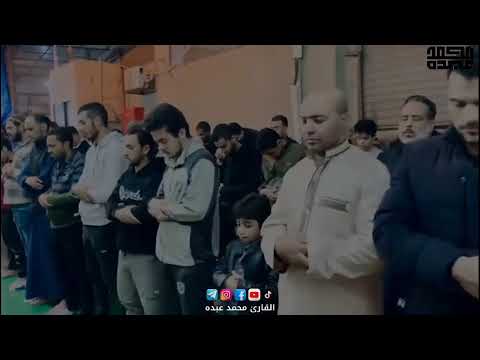اد خ ل وه ا ب س ل ام ذ ل ك ي و م ال خ ل ود ما تيسر من سورة ق 2024