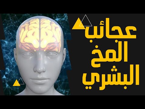 فيديو: دماغ الدجاج: حقائق مثيرة للاهتمام