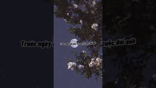 Angel Baby  Troye Sivan