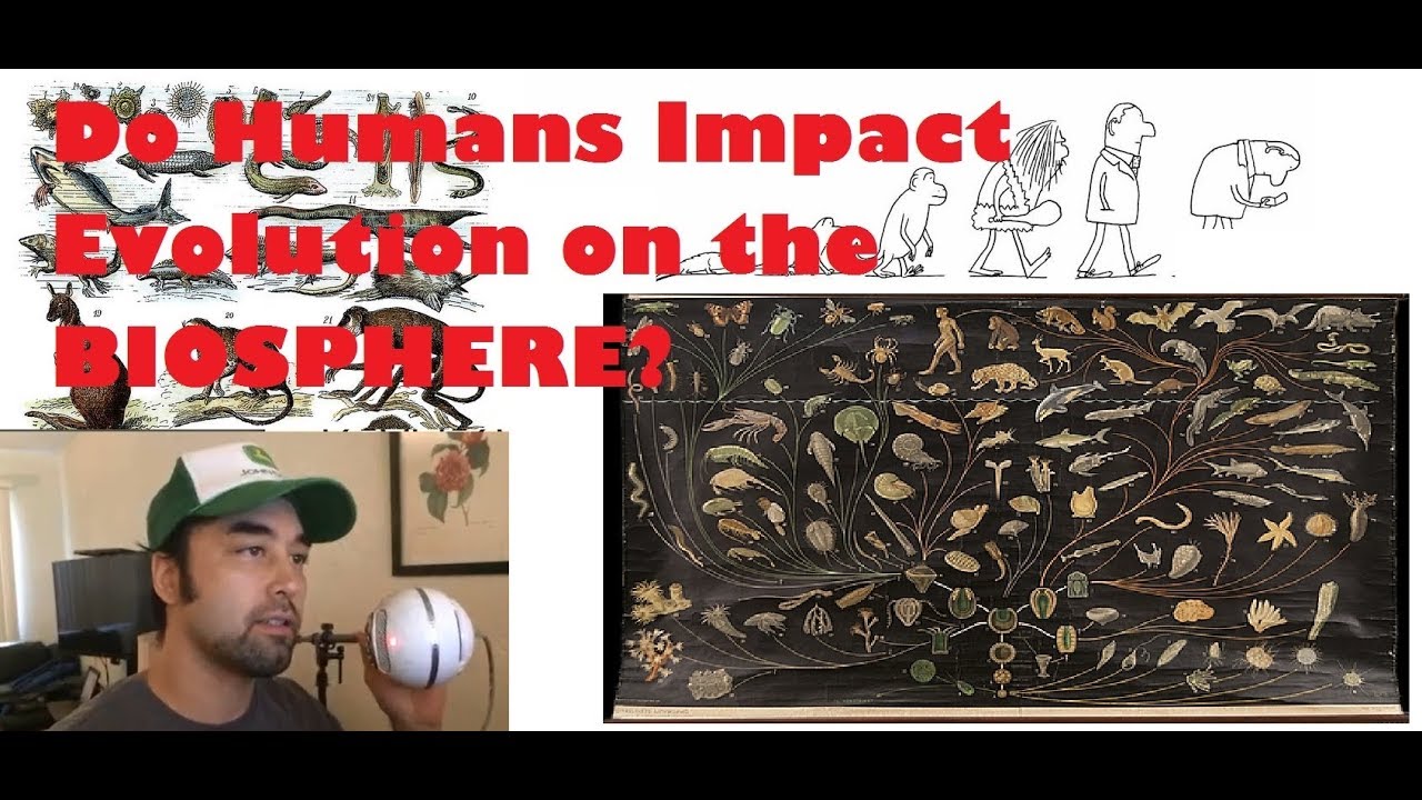 Human Evolutionary Impact on the Biosphere - Earthly Headlines