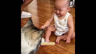 🚨 Why did this dog bark loudly at exactly 4 a.m. every single day?#pets #lovely #shorts#dogs