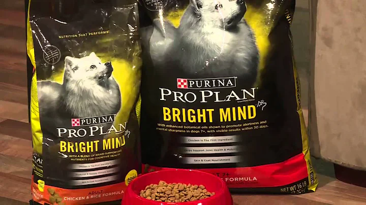 Find the Genius in your Dog