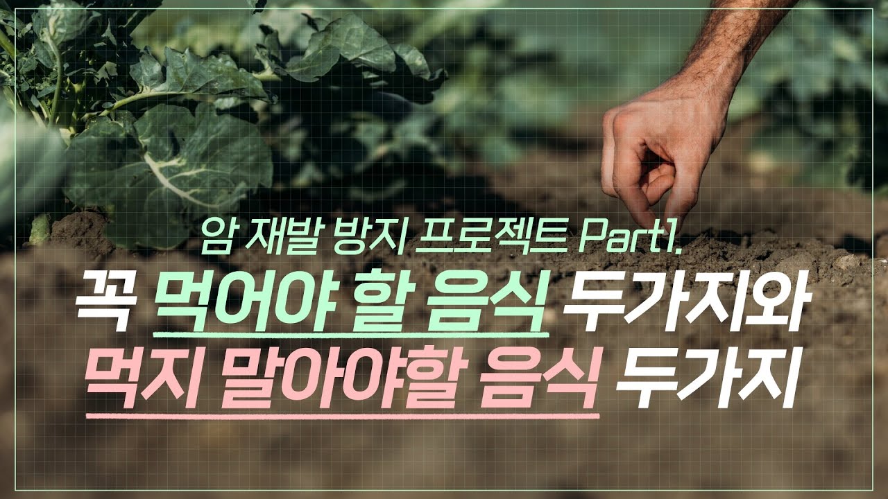 암 재발 방지 프로젝트 파트1 | 꼭 먹어야할 음식 두가지와 먹지 말아야할 음식 두 가지(씨앗즙, 해독즙) - YouTube
