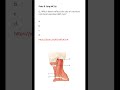 Medicine &amp; Surgery MCQs (For MBBS, USMLE, MCCQE &amp; PLAB)