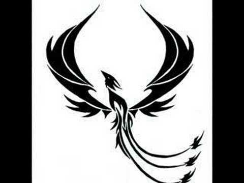 phoenix tattoo # Franko-Disegni