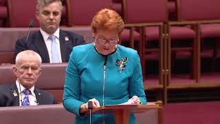 Pauline Hanson's Budget REPLY: "A fundamentally different direction"