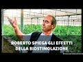 Roberto spiega gli effetti sorprendenti della biostimolazione alle coltivazioni con prodotti Bio