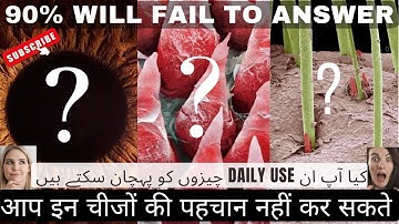 10 Daily things under microscope (visual quiz) | Guess The Daily Use Things Under Microscope🤔