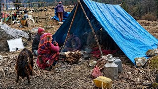 Best Life In A Himalayan Village During The Shepherd Life/daily activities Hardworking people live