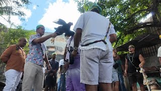 Afro-Cuban Santeros perform ceremonies to ask for peace and health during regional conflict