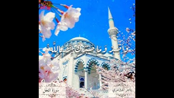 واصبر وما صبرك إلا بالله || سورة النحل || ياسر الدوسري..حالات واتس.