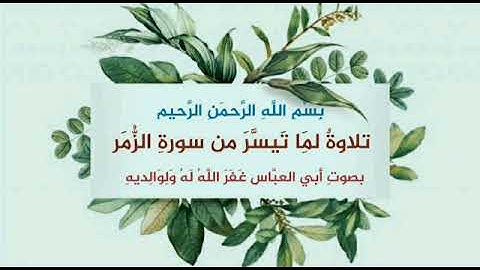 تلاوة لما تيسر من سورة الزمر_ بصوت أبي العباس وفقه الله وسدده 🍂